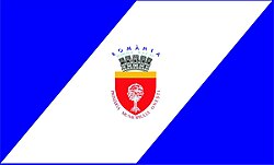 Flag Onești